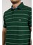 Polo Nefti Çizgili Regular Fit 4