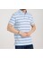 Polo Mavi Çizgili Regular Fit 3