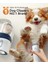 Kedi Köpek Kuaför Traş ve Bakım Seti - Vakumlu 451121 5