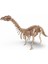 54 Parça Brontosaurus Ahşap Dinozor Maketi - Dev Brontosaurus Maketi Ahşap Eğitim Seti 5