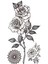 Gül Figürlü Geçici Mini Dövme Tattoo 1