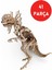 41 Parça Ceratopsier Dinozor Ahşap Maketi - 3D Eğitici Dinozor Ahşap Puzzle 1