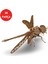 28 Parça Ahşap Yusufçuk Maketi - Ahşap Yusufçuk Figürü - 3D Dragonfly Ahşap Figür 1