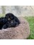 Fluffy Peluş Kedi Köpek Yatağı - Renk: Pembe 2