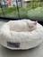 Fluffy Peluş Kedi Köpek Yatağı - Renk: Pembe 3