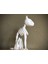 Kedi Iskeleti T6276243 2