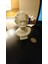 Einstein Heykeli (Göğüs 3D Tarama) (Plastik Aparattır!!!) 5