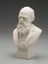Charles Darwin'in Büstü, 1899 Dolayları (Plastik Aparattır!!!) 1