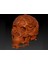 Hunter Skull Hd (Desteklerle Birlikte) (Plastik Aparattır!!!) 2