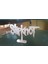 Slipknot Logosu (Plastik Aparattır!!!) 1