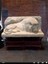 Brooklyn Sanat Müzesi Lobisinden Aslan (Plastik Aparattır!!!) 1