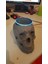 Kafatası Yankı Nokta Tutucu Alexa (Plastik Aparattır!!!) 5
