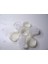 Buz Fidget Spinner Kalıbı (Plastik Aparattır!!!) 1
