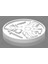 Destiny 2 Crucible Coin/jeton (Plastik Aparattır!!!) 5