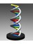 Dna Ölçek Modeli (Plastik Aparattır!!!) 3