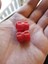 550 Paracord Için Fermuar Çekişi (Plastik Aparattır!!!) 5