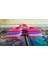 Ninja Disk Fidget Spinner (Plastik Aparattır!!!) 4