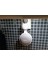Google Nest Mini Soket Bağlantısı (Plastik Aparattır!!!) 2