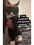 Leydi Loki Kedi Kulakları (Plastik Aparattır!!!) 3