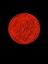 Mars One Logo (Plastik Aparattır!!!) 1