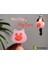 Mini Flip Domuz Kulakları (Plastik Aparattır!!!) 1