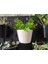 Saksı Tutucusu - Ikea Skadis (Plastik Aparattır!!!) 2