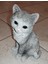 Kedi Heykeli Şekil Hq-Scan (Plastik Aparattır!!!) 3