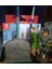 Zelda Efsanesi'nden Usta Kılıç Kalem Sahibi (Plastik Aparattır!!!) 5