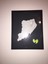Staten Adası, Ny (Plastik Aparattır!!!) 4