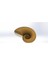 Nautilus Kabuğu Kalesi (Fabonacci/logaritmik Spiral) (Plastik Aparattır) 4