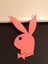 Playboy Anahtarlık (Plastik Aparattır!!!) 4