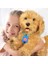 Hsyn My Fuzzie Friends Sevimli Labrador Moji 18207 Akdenizpos Yeni 4