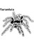 Tarantula Stallem 3 (Plastik Aparattır) 1
