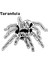 Tarantula Stallem 3 (Plastik Aparattır) 2