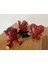 Sevimli Gül,love Yazısı,kalp Biblo 3'lü Set 1