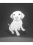 LED Işıklı Köpek 3
