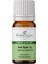 Nane Uçucu Yağı 10 ml %100 Saf ve Doğal Peppermint Essential Oil 1