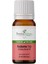 Kuşburnu Çekirdeği Yağı Soğuk Sıkım 20 ml %100 Saf ve Doğal Roseship Seed Oil 1