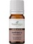 Karanfil Uçucu Yağı 10 ml %100 Saf ve Doğal Clove Bud Essential Oil 1