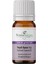Paçuli Uçucu Yağı 10 ml %100 Saf ve Doğal Tefarik Patchouli Essential Oil 1