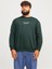 Büyük Beden Erkek Sweatshirt 1