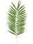 Flora BZEFL44382 Yapay Palmiye Dalı 54 cm 1