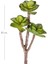 Yapay Kaktüs Sukulent Kırmızı-Yeşil 35 Cm. 2