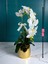 Yapay Çiçek Beyaz Islak Orkide 55 cm Lüks Gold Metal Saksıda Dekoratif Hediye Yapay Salon Çiçeği 5