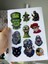 Laptop Sticker ( Etiket ) Notebook,kask, Duvar, Bisiklet, Motosiklet, Dolap, Kapı A4 Boyutlarında 1