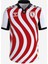 25/26 Hummel Samsunspor Çubuklu Forma 1