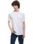Kısa Kollu Bisiklet Yaka Pamuklu Slim Fit Erkek Basic Tişört 2