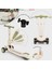 Potenza 4in1 Ebeveyn Kontrollü 5 Tekerlekli Çocuk Scooter Işıklı Oturaklı Yeşil 3