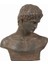 Atticus Büst 48X23X57 cm 1