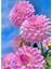 Çiçekler 30*40 cm Pixart Sanat Elmas Mozaik Tablo Diamond Türkiye 1